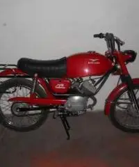 Moto Guzzi Dingo Gran Turismo 1972 Moto Guzzi Dingo Gran Turismo 1972