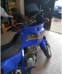 Moto Honda dominator