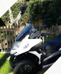 Quadro Quadro 350D - 2013