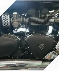 Triumph SpeedMaster Borse Schienale Parabrezza Triumph SpeedMaster Borse Schienale Parabrezza