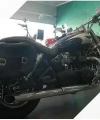 Triumph SpeedMaster Borse Schienale Parabrezza Triumph SpeedMaster Borse Schienale Parabrezza