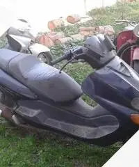 Yamaha Majesty 150 - 1999 Yamaha Majesty 150 - 1999