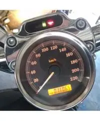 HARLEY-DAVIDSON Sportster 883 Custom cc 883