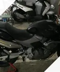 Honda hornet Honda hornet