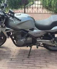 kawasaki
