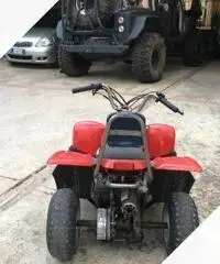 Quad o quod aeon Italiano