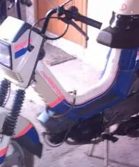 Atala master LL 50cc