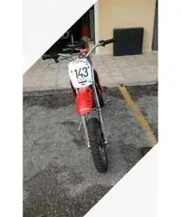 Baja lem - 2010