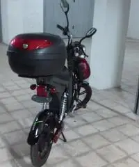 bici elettrica