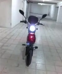 bici elettrica
