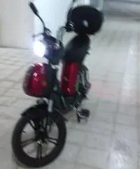 bici elettrica