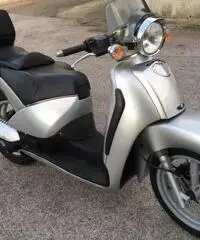 Scarabeo 200