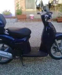 Vendesi scooter Aprilia Scarabeo 50cc 2t