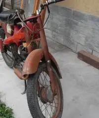 Motom 48