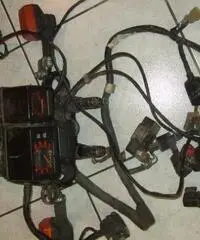 HONDA XL 600 del 1984 + molti pezzi di ricambio