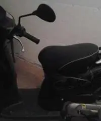 Scarabeo anno 2011 Scarabeo anno 2011