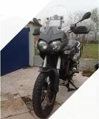 Moto Guzzi Stelvio 1200 - 2014