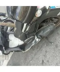 Scarabeo 500