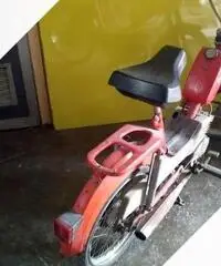 Motorino Benelli 48