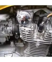 suzuki katana 550, 1981, no targhe