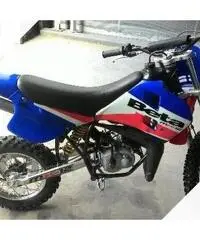 Beta MX 12