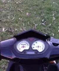 NUOVI SCOOTER 50 cc 4T GTM FALCON