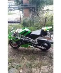 minimoto minimoto