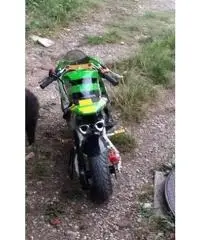 minimoto minimoto