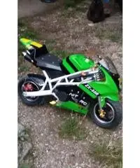 minimoto minimoto