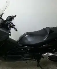 T MAX