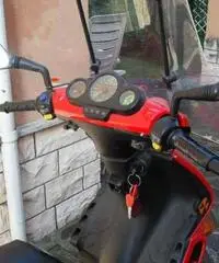 Scooter Peugeot 100 cc Speedfight