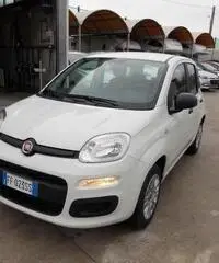 Fiat Panda 1.2 Easy  X NEOPATENTATI Fiat Panda 1.2 Easy  X NEOPATENTATI