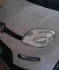 News panda4x4