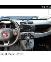 News panda4x4