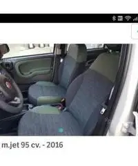News panda4x4