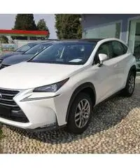 Lexus NX Hybrid 4WD Icon