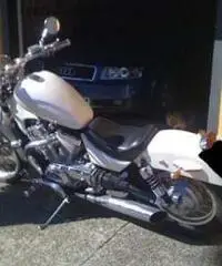 INTRUDER 800