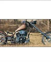 CUSTOM DA ESPOSIZIONE CUSTOM DA ESPOSIZIONE