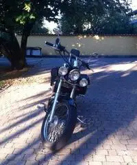 HONDA SHADOW VT 600