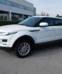 LAND ROVER Range Rover Evoque 2.2 TD4 5p. Pure