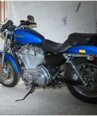 Harley davidson sportster 883