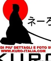 AUDI S5 4.2 V8 quattro tiptronic