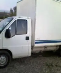 Fiat Ducato 15 2.8 JTD PM CASSONATO Fiat Ducato 15 2.8 JTD PM CASSONATO
