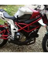 BIMOTA DB6R