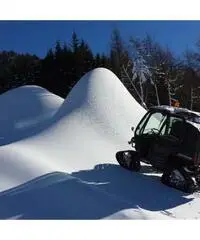 Polaris ranger 500 + cingoli