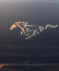 FORD Mustang Fastback 5.0 V8 TiVCT aut. GT