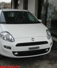 FIAT Punto 1.2 8V 5 porte Street  KM O!!!!