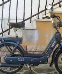 Piaggio Ciao PX 50