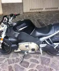 Buell xb12 scg 2009 Buell xb12 scg 2009