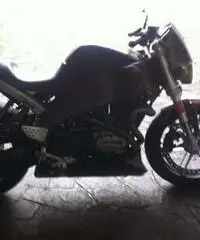 Buell xb12 scg 2009